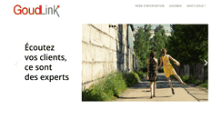 Desktop Screenshot of goudlink.com